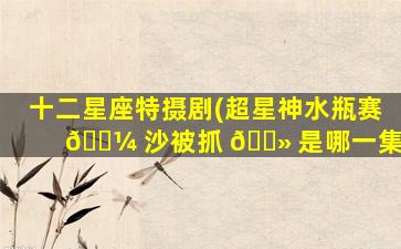 十二星座特摄剧(超星神水瓶赛 🌼 沙被抓 🌻 是哪一集)